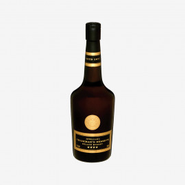 Mauris non velit laci felis...