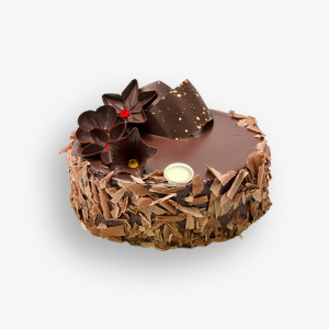  Mauris venenatis diam 