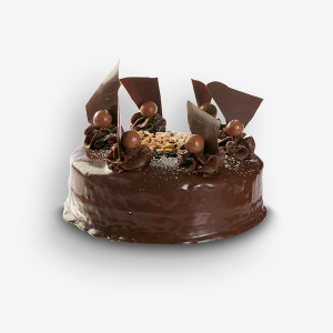 Praesent mattis sem non 