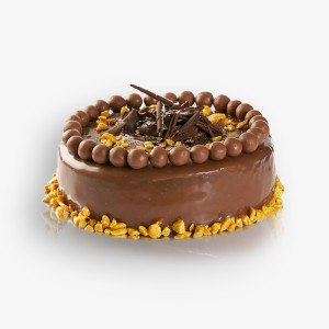 Nullam pretium justo