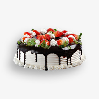 Consectetur adipiscing