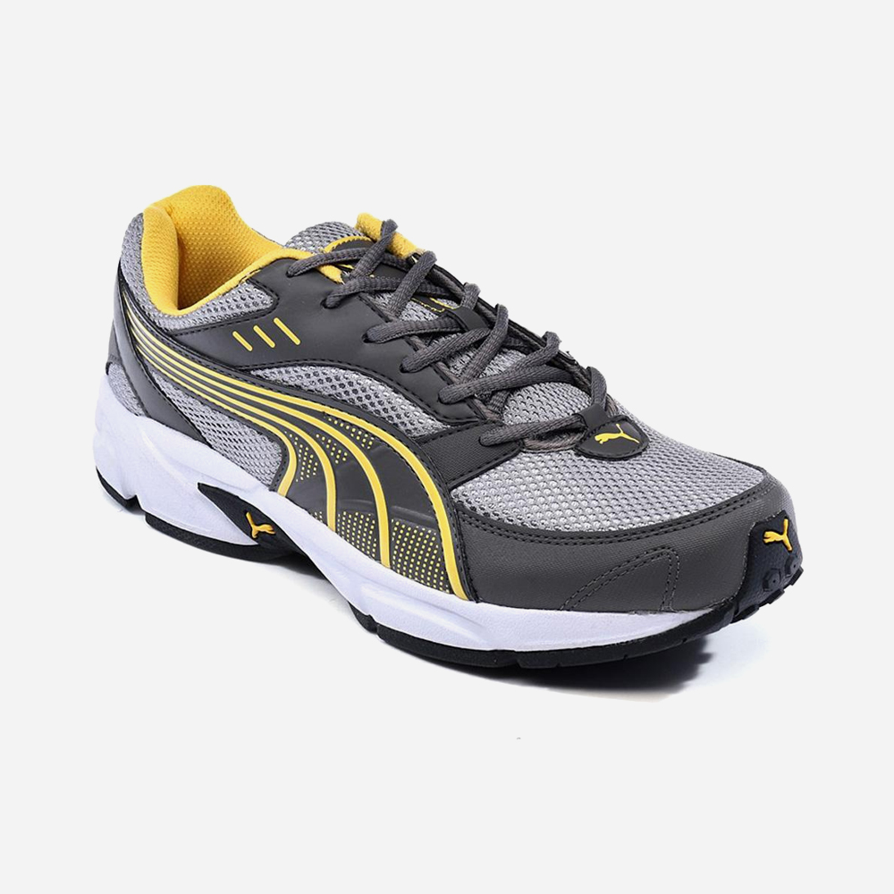 Mollis dapibus eget Mollis dapibus eget