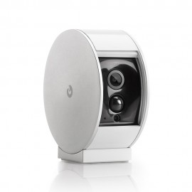 Suspendisse at dolor