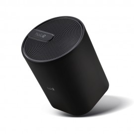 Consectetur adipiscing