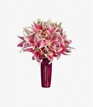 Praesent mattis sem non 