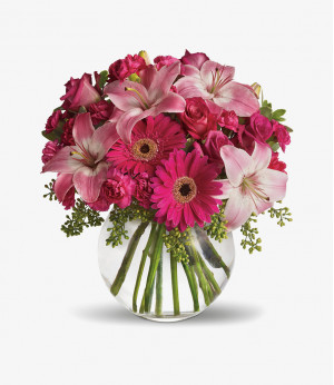 Lorem ipsum dolor sit 