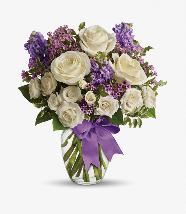 Nulla tristique ligula 