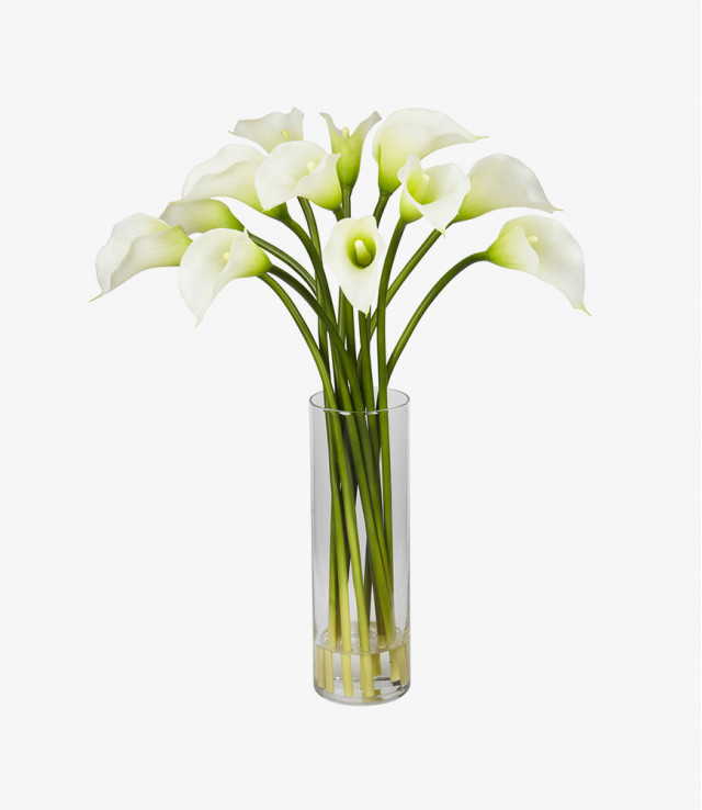 Lorem ipsum dolor sit 