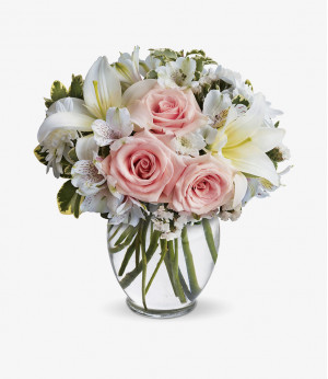 Suspendisse at dolor