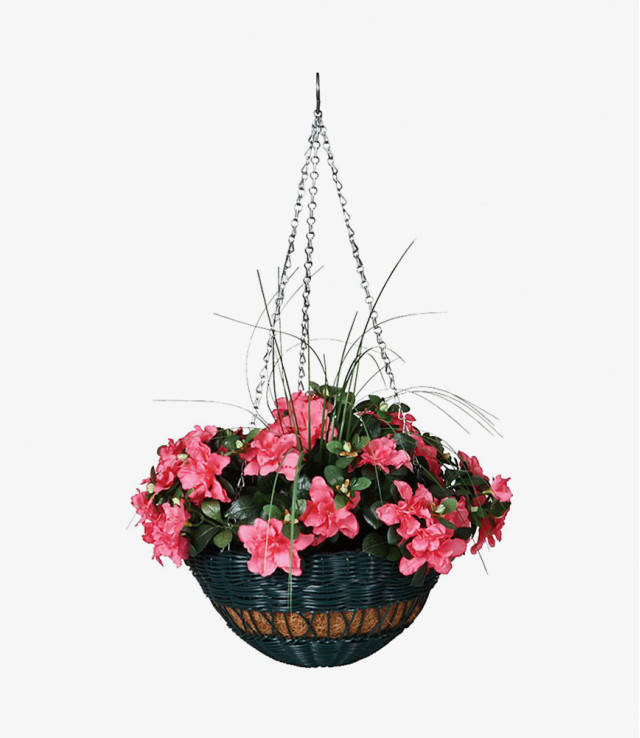 Lorem ipsum dolor sit 