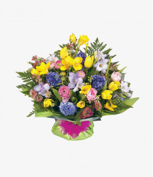 Vestibulum dictum elit