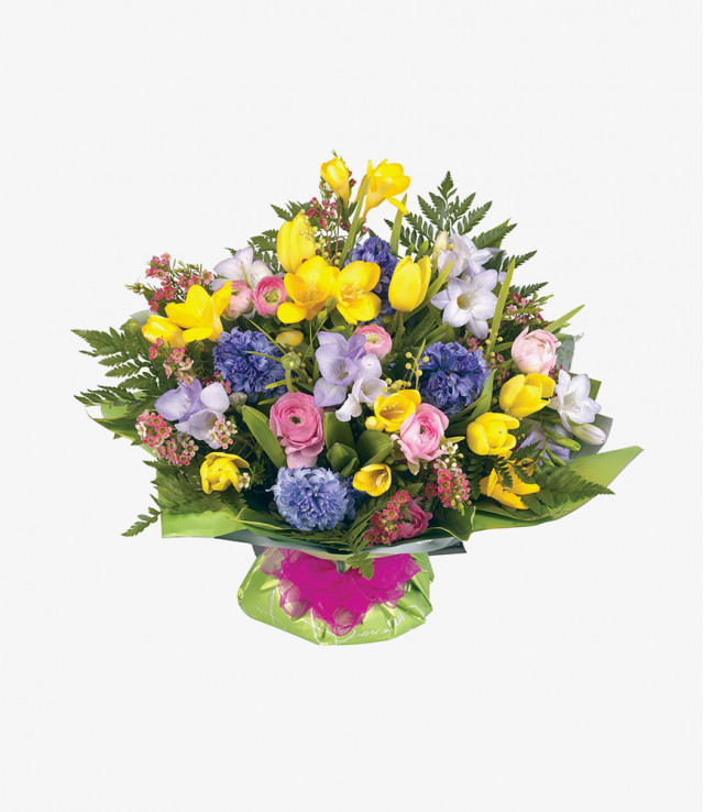 Suspendisse at dolor