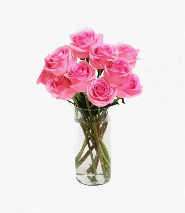  Mauris venenatis diam 