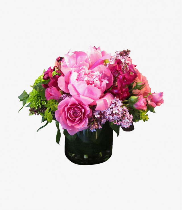  Mauris venenatis diam 