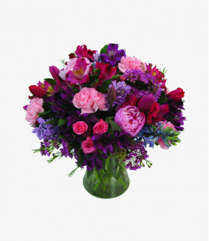  Mauris venenatis diam 