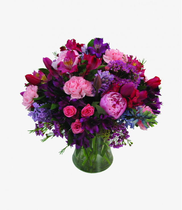 Nulla tristique ligula 