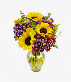 Consectetur adipiscing