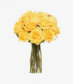 Nulla tristique ligula 