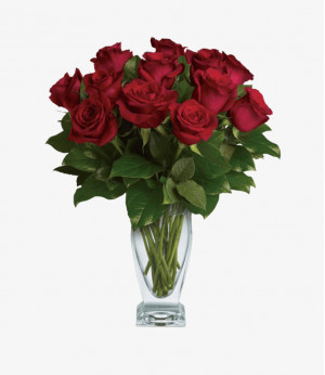 Morbi accumsan tellus