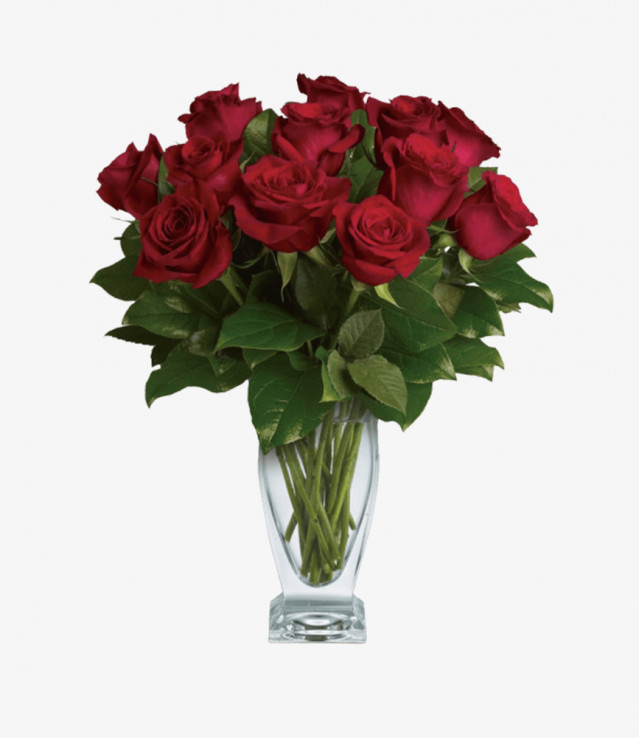 Nulla tristique ligula 