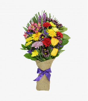 Consectetur adipiscing