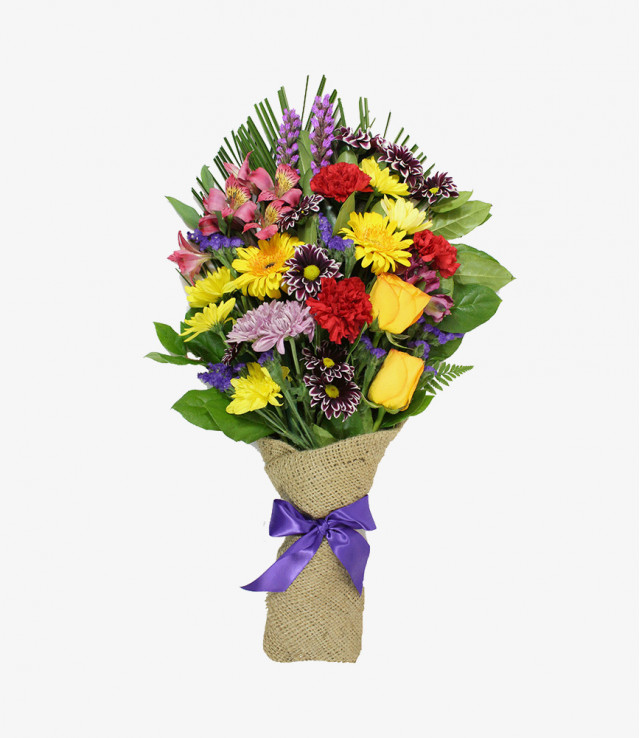 Nulla tristique ligula 