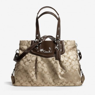 Praesent mattis sem non 