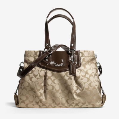 Praesent mattis sem non 