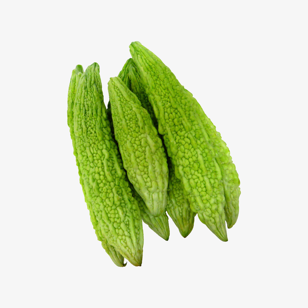 Consectetur adipiscing