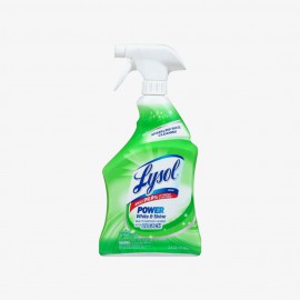 Suspendisse at dolor