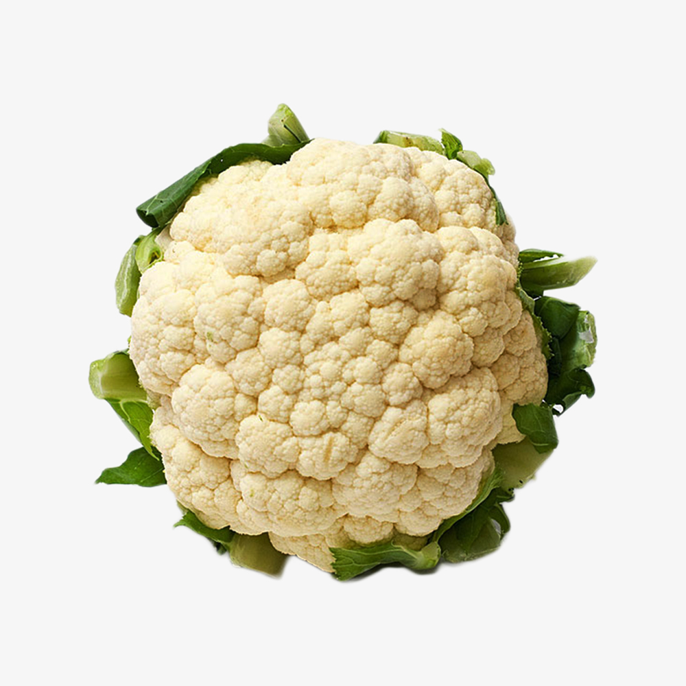 Nullam pretium justo