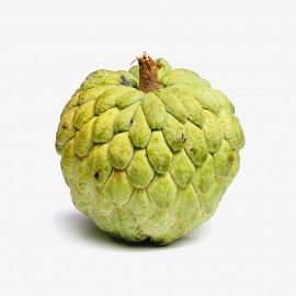 Nulla tristique ligula 