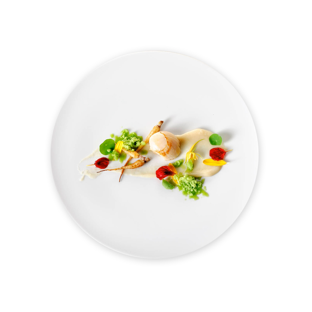 Suspendisse at dolor Suspendisse at dolor