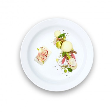 Morbi accumsan tellus