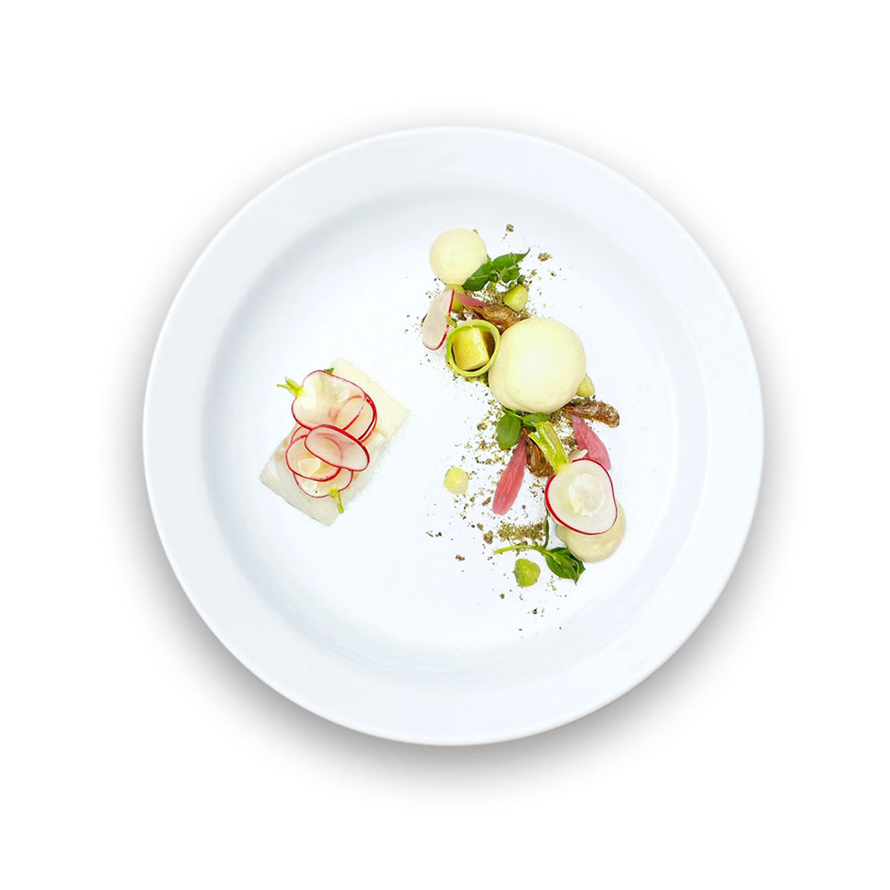 Nulla tristique ligula 