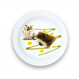 Consectetur adipiscing