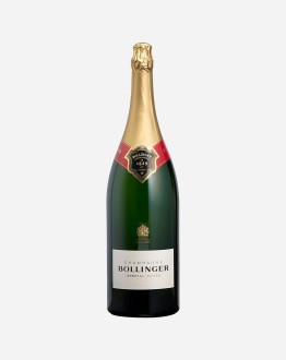 Morbi ac lorem ac lectus