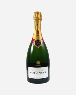 Phasellus convallis ex at