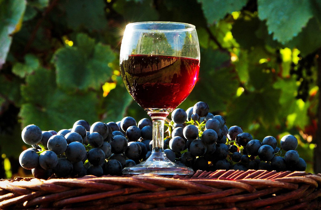 Ipsum cursus vestibulum at interdum Vivamus