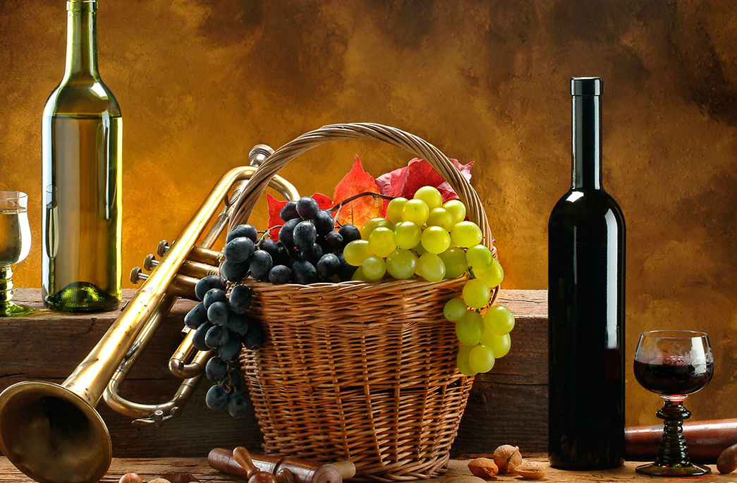 Urna pretium elit mauris cursus Curabitur at