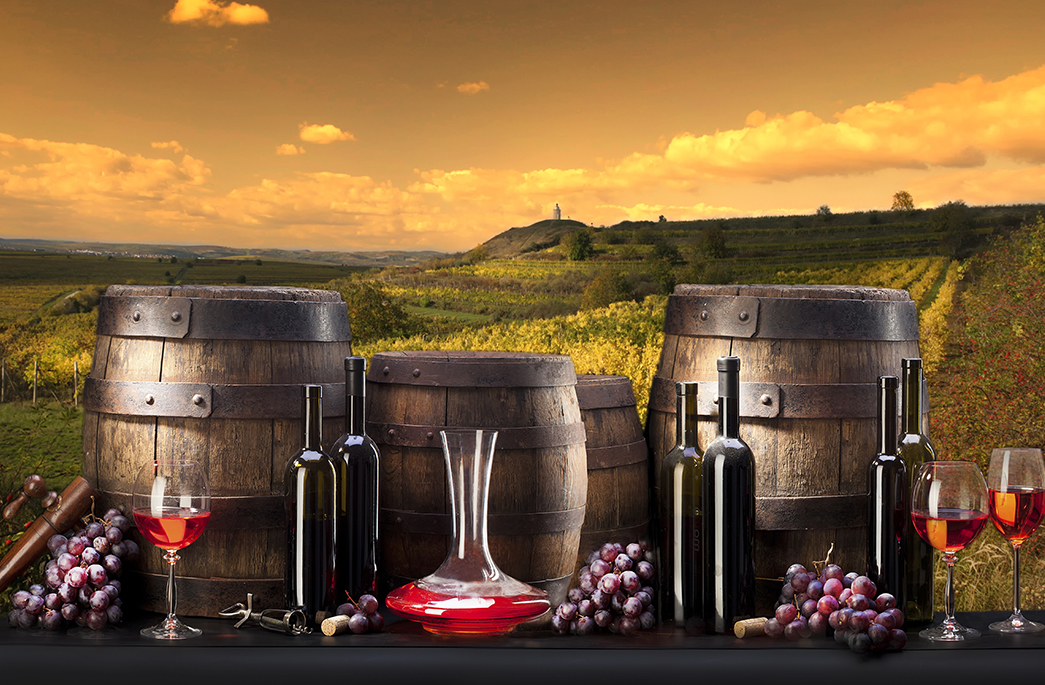 Turpis at eleifend ps mi elit Aenean porta ac sed faucibus