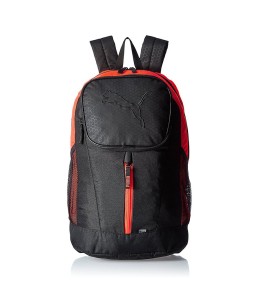 Nunc accumsan lorem eget