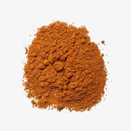 Pellentesque sagittis risus