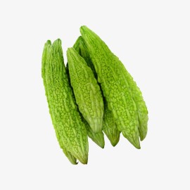 Morbi et turpis pharetra