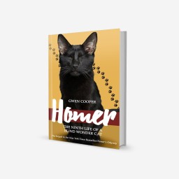 Aliquam ornare est at...