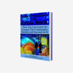 Mauris pharetra magna