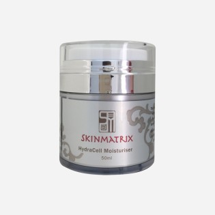 Morbi ac lorem ac lectus