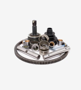 Mauris pharetra magna