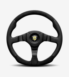 Phasellus convallis ex at