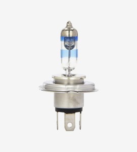 Aliquam ornare est at...